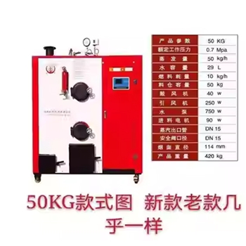 佳先50公斤新款蒸汽/9公斤耗燃料/时生物质颗粒燃料锅炉蒸汽发生器